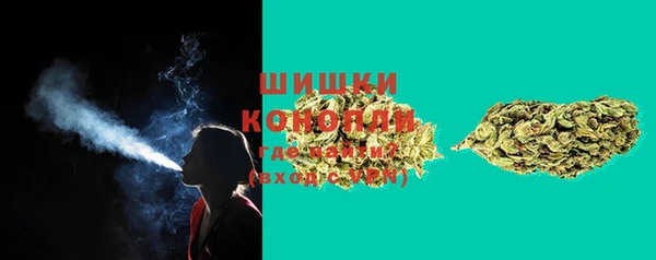 спайс Нея