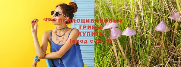 амф Надым