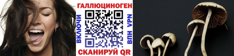 Псилоцибиновые грибы GOLDEN TEACHER  Моздок 