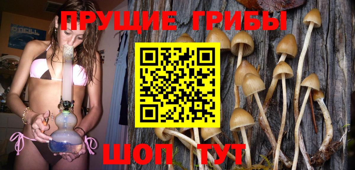 Галлюциногенные грибы мицелий Моздок
