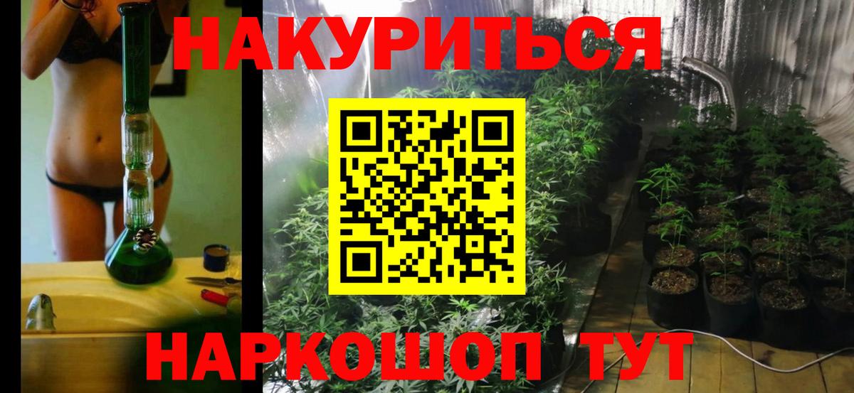 МАРИХУАНА сатива Моздок